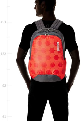 American Tourister Bounce 28 Ltrs Red Casual Backpack (FR9 (0) 00 002)