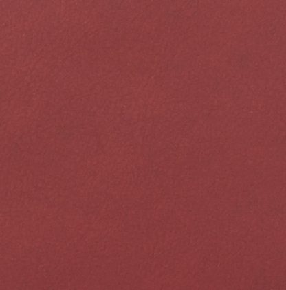 Lavie Andre Women's Clutch (Wine) - Image 5